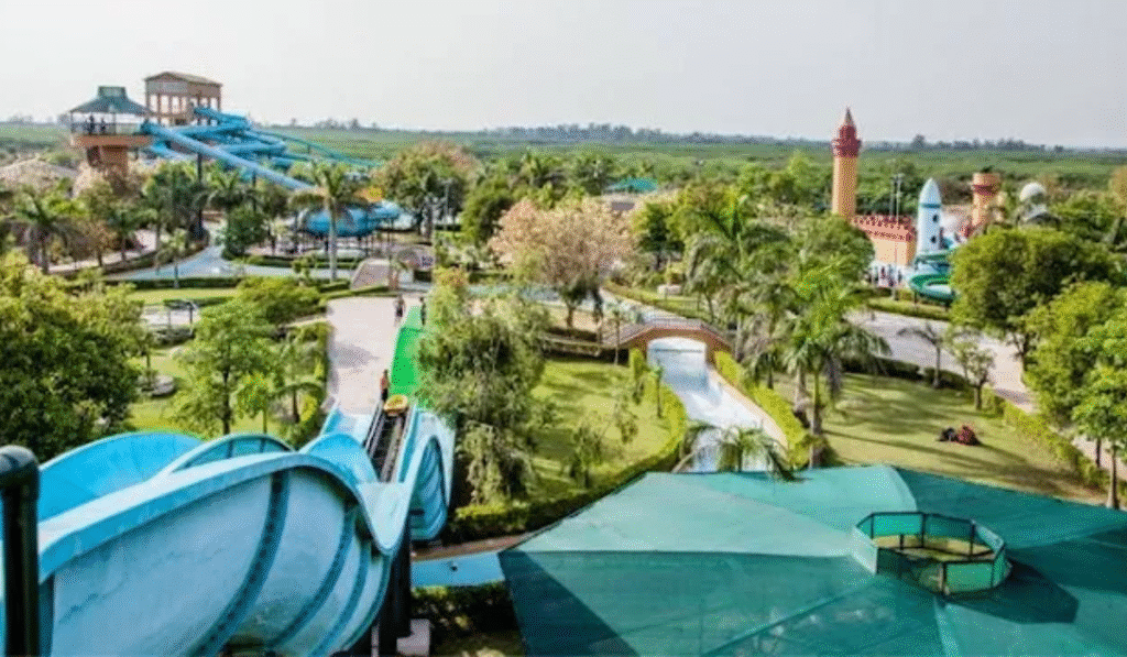Dolphin Water Park