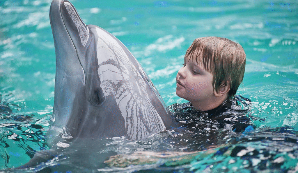 Dolphin Water Park B