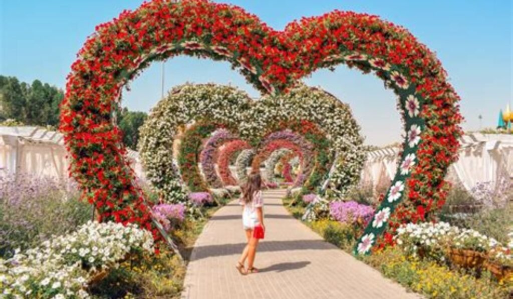 Dubai Miracle Garden Photo