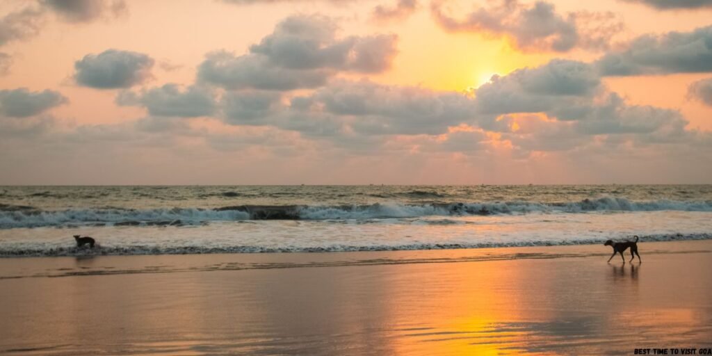 Best Time to Visit Goa