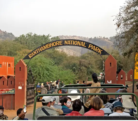 Complete Guide to Ranthambore National Park Ticket Price, Entry Fees, and Early Booking Tips