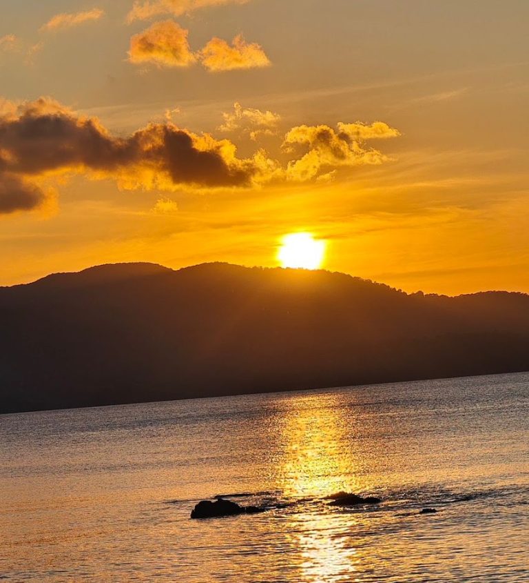 How to Choose the Perfect Andaman Tour Packages for Your Dream Island Vacation